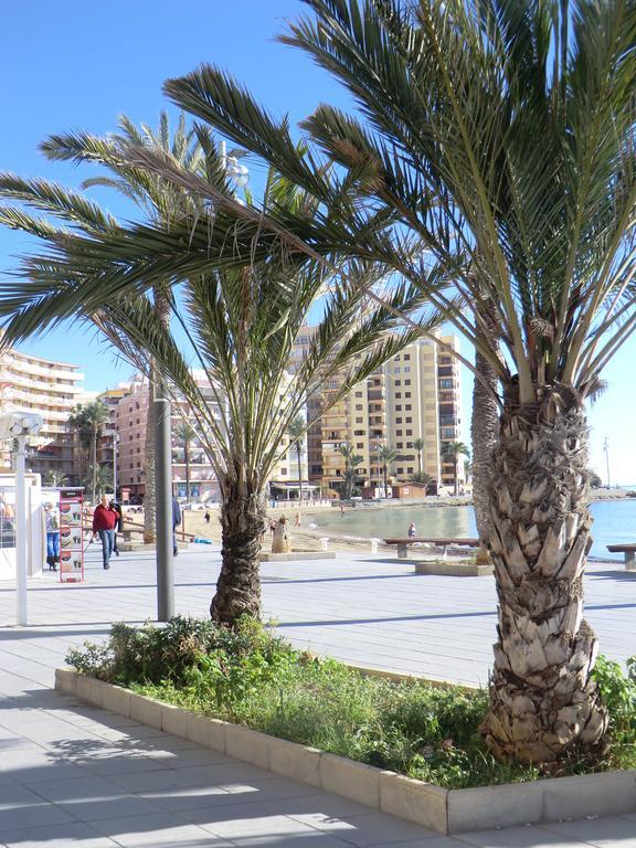 Casas Holiday - Playa Del Cura 2 또레비에하 객실 사진